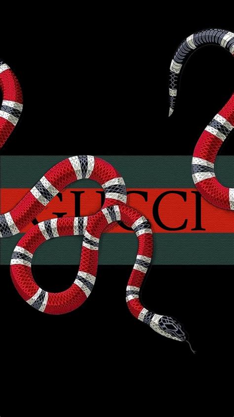 supreme gucci snake wallpaper